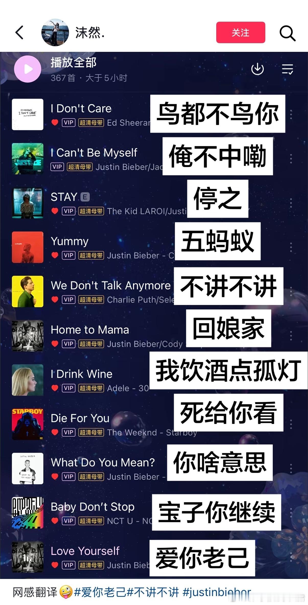 当歌曲遇上网感翻译： 