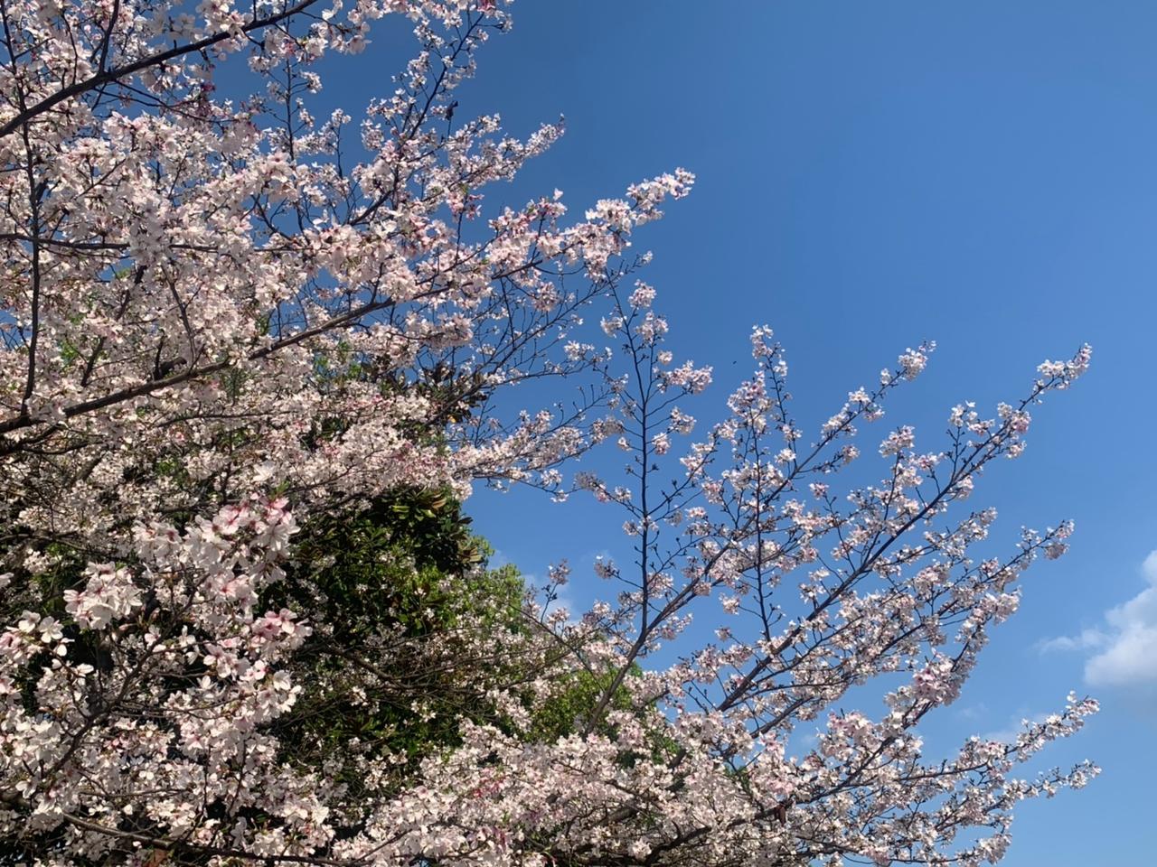 张雪峰说过一句特别扎心的大实话：“警局有人的，孩子都在上警校；医院有人的，孩子都
