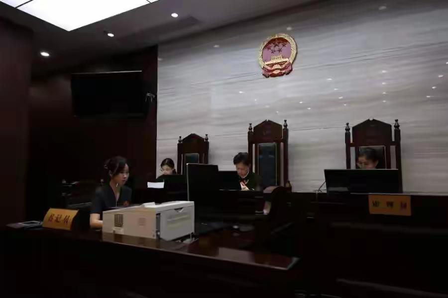 上海一女子生重病去世，留下了两个美国籍试管女儿，这两个试管婴儿都是在美国生的，找