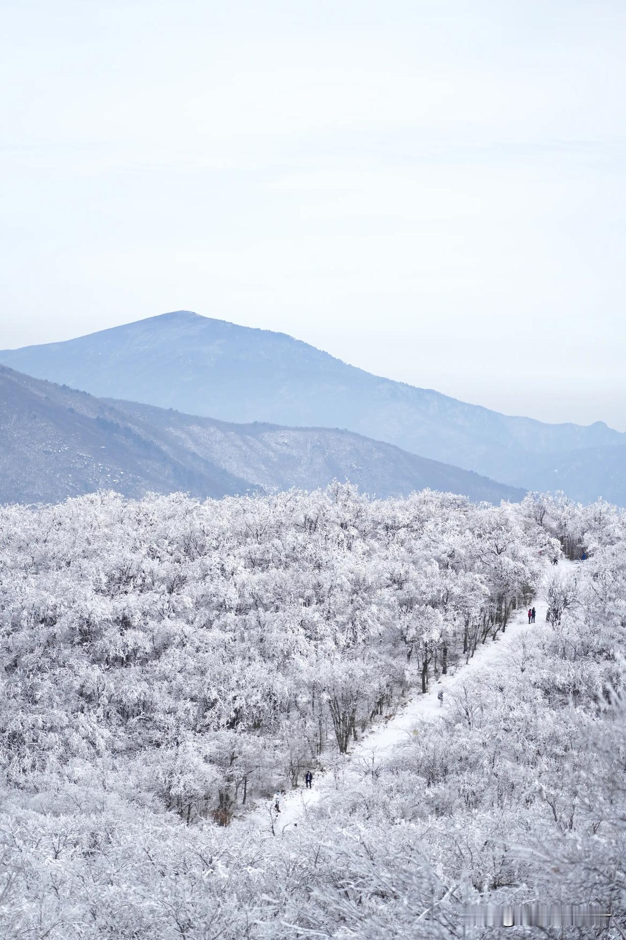 早上好！叔本华曾说：“世界上最大的监狱，是人的思维意识。”很多时候，局限一个人的