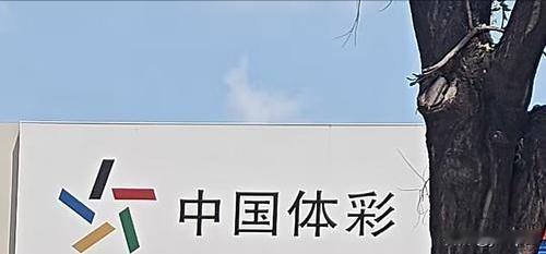 彩票店转让的坑，比彩票还难中。

2025年有人花8万块接手一家旺铺，说是生意好