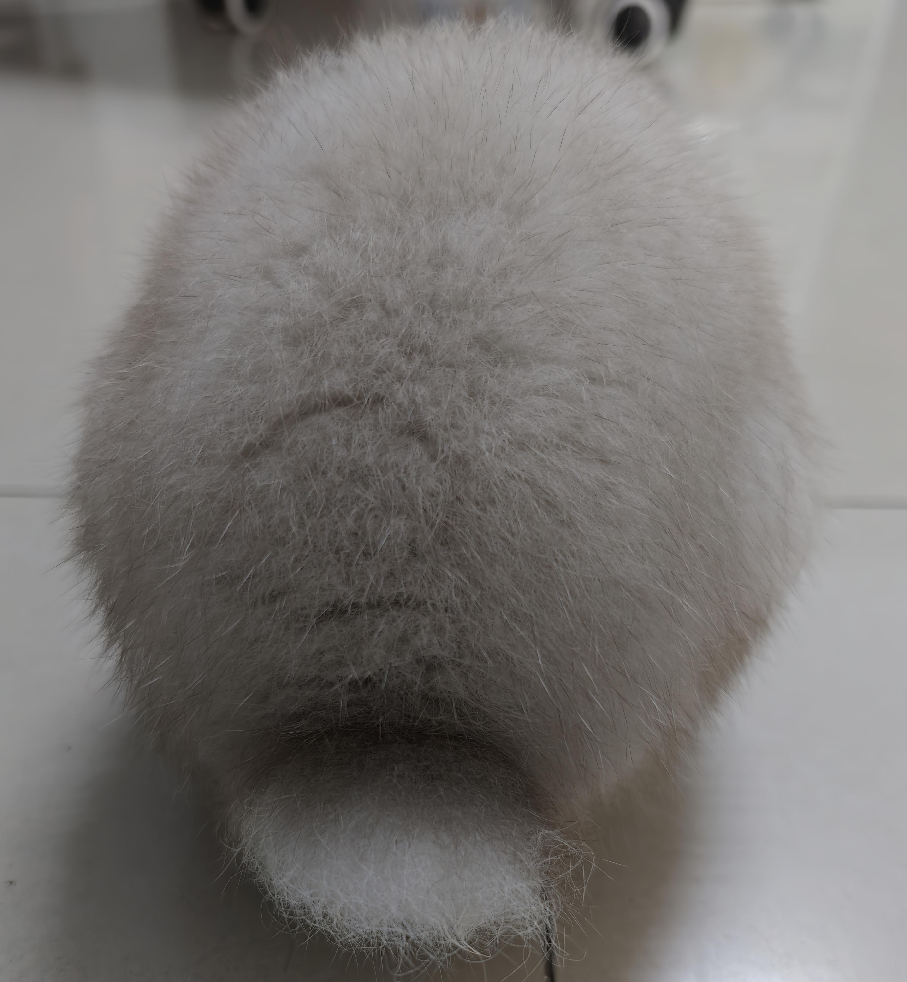 摸摸有营养不良的风险吗 ​​​