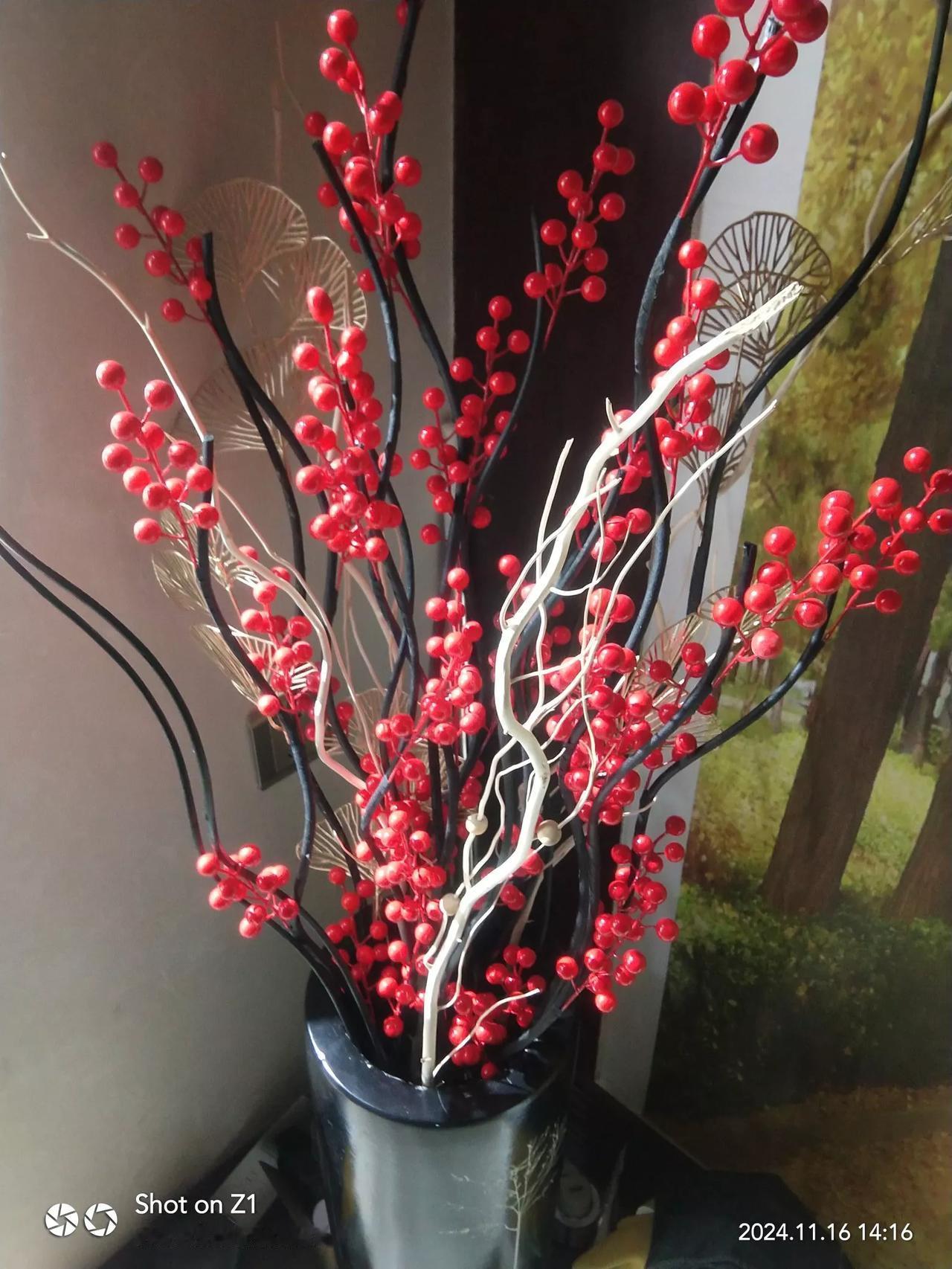 红果满枝头，岁月静好时。l