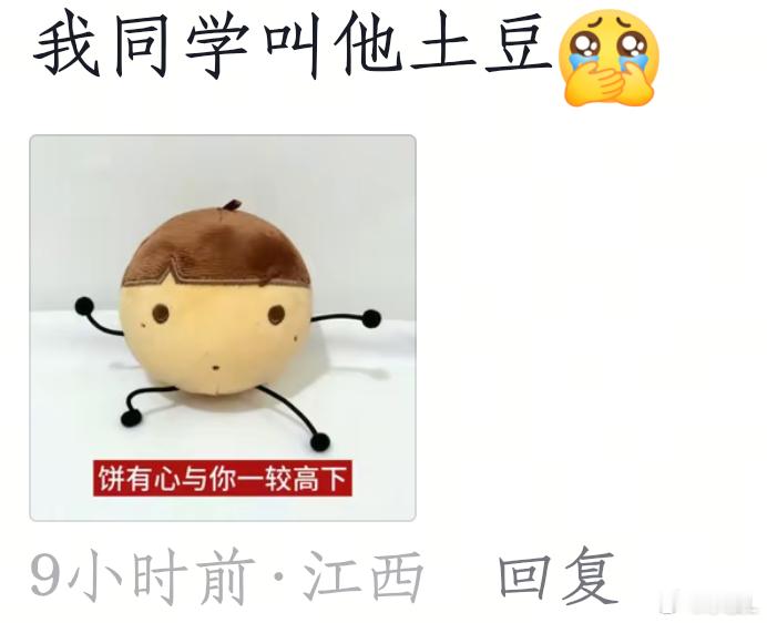 老师我家雷霆大小蛋怎么又多了个称呼，孩子回来一直哭苏新皓 ​​​