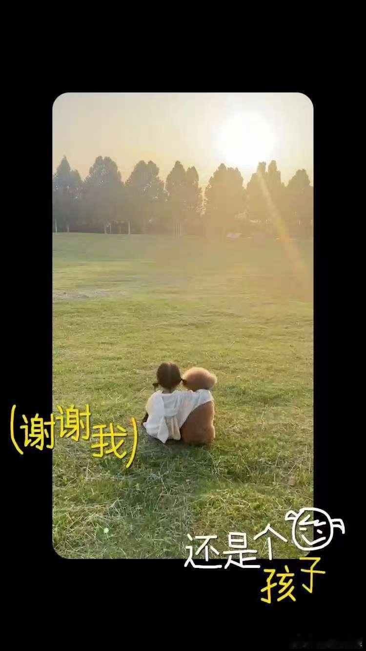 时光匆匆，2024 已近尾声，生活的琐碎磨平了棱角。回春丹《鲜花》却如春风拂过，