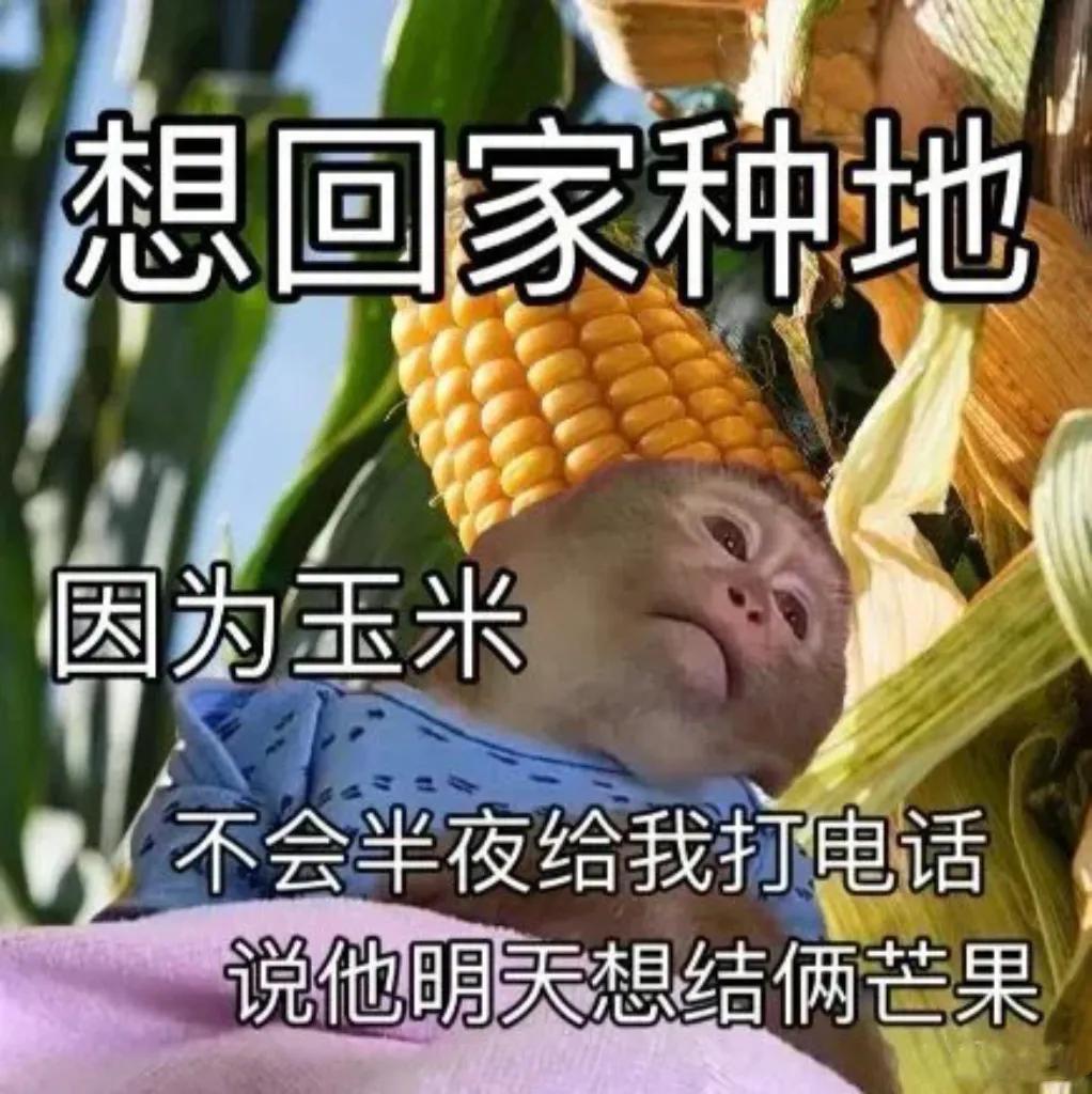 打工人的心里写照: