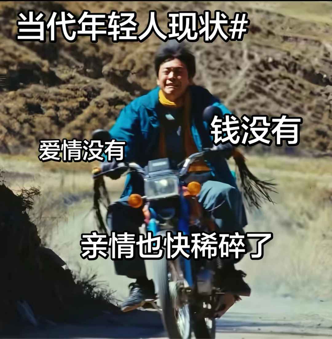 生命树是值得反复回味的好剧 笑死在白及的遭遇里，白及太苦了。生命树