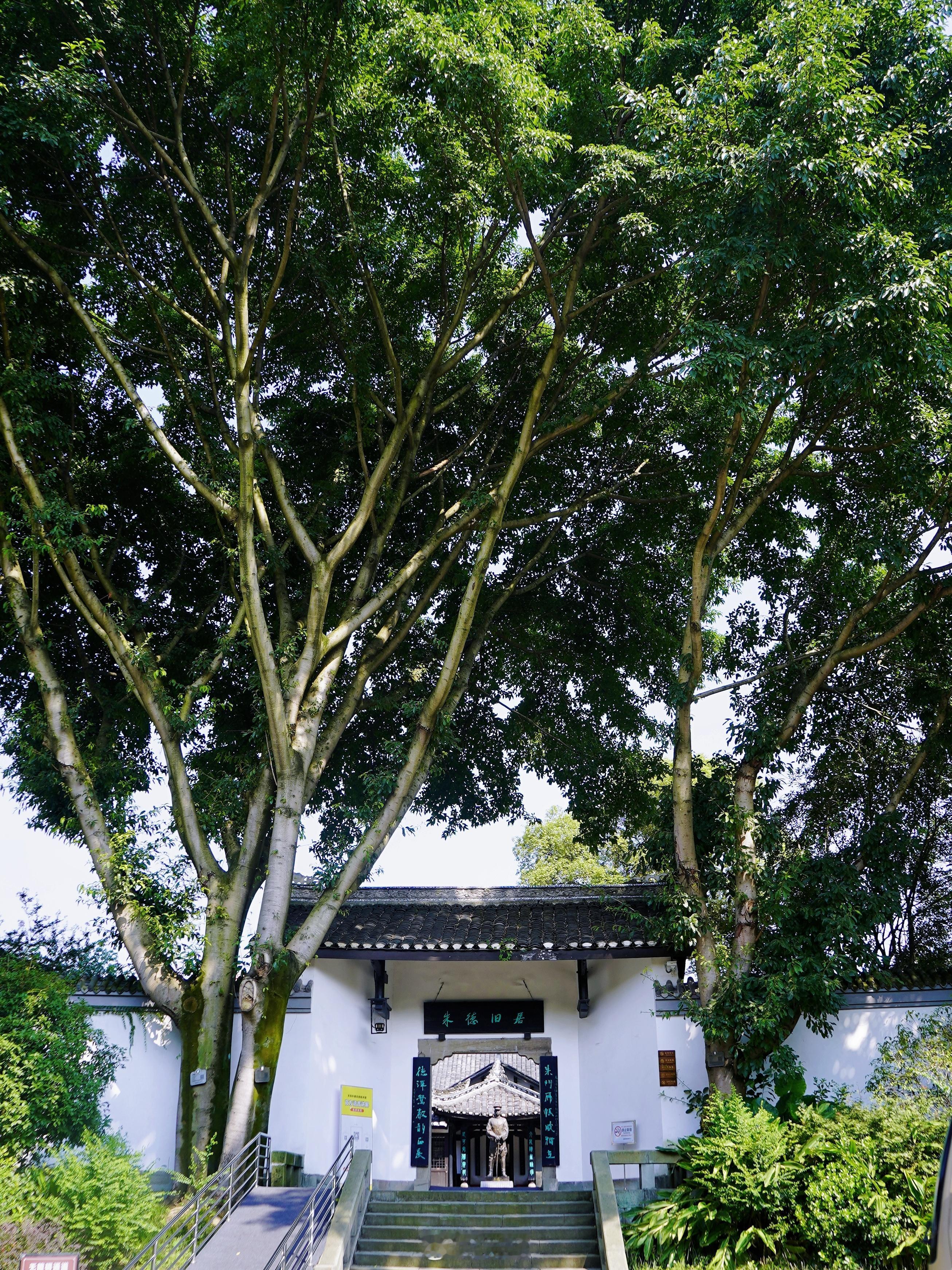 来泸州红色旅游必打卡！朱德故居记得去看看哟，不仅景色宜人，还能深入了解朱德元帅的