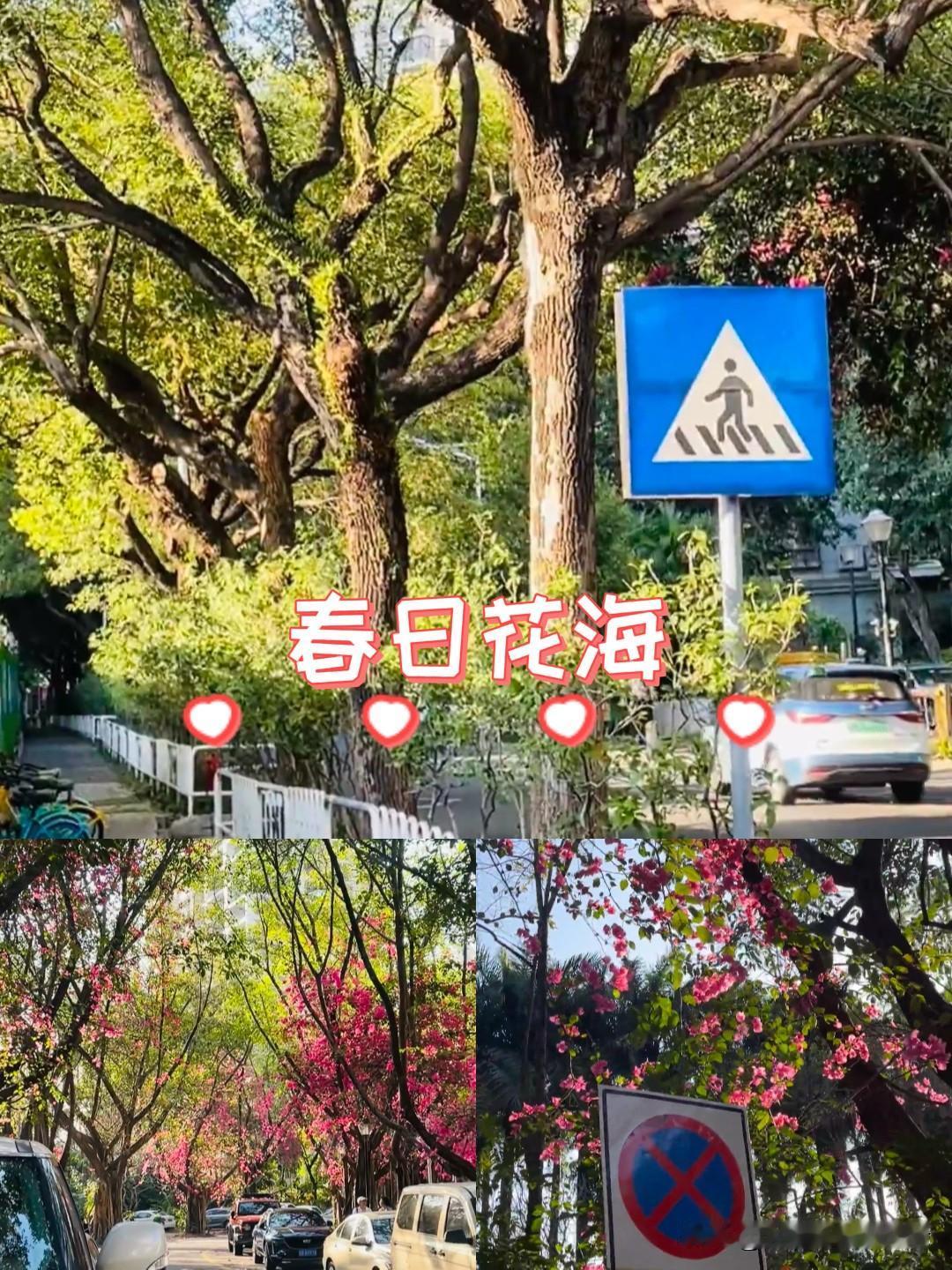 很多人都在纠结：给父母钱，还是多陪陪他们？

其实答案很简单：
钱，是孝顺的底气