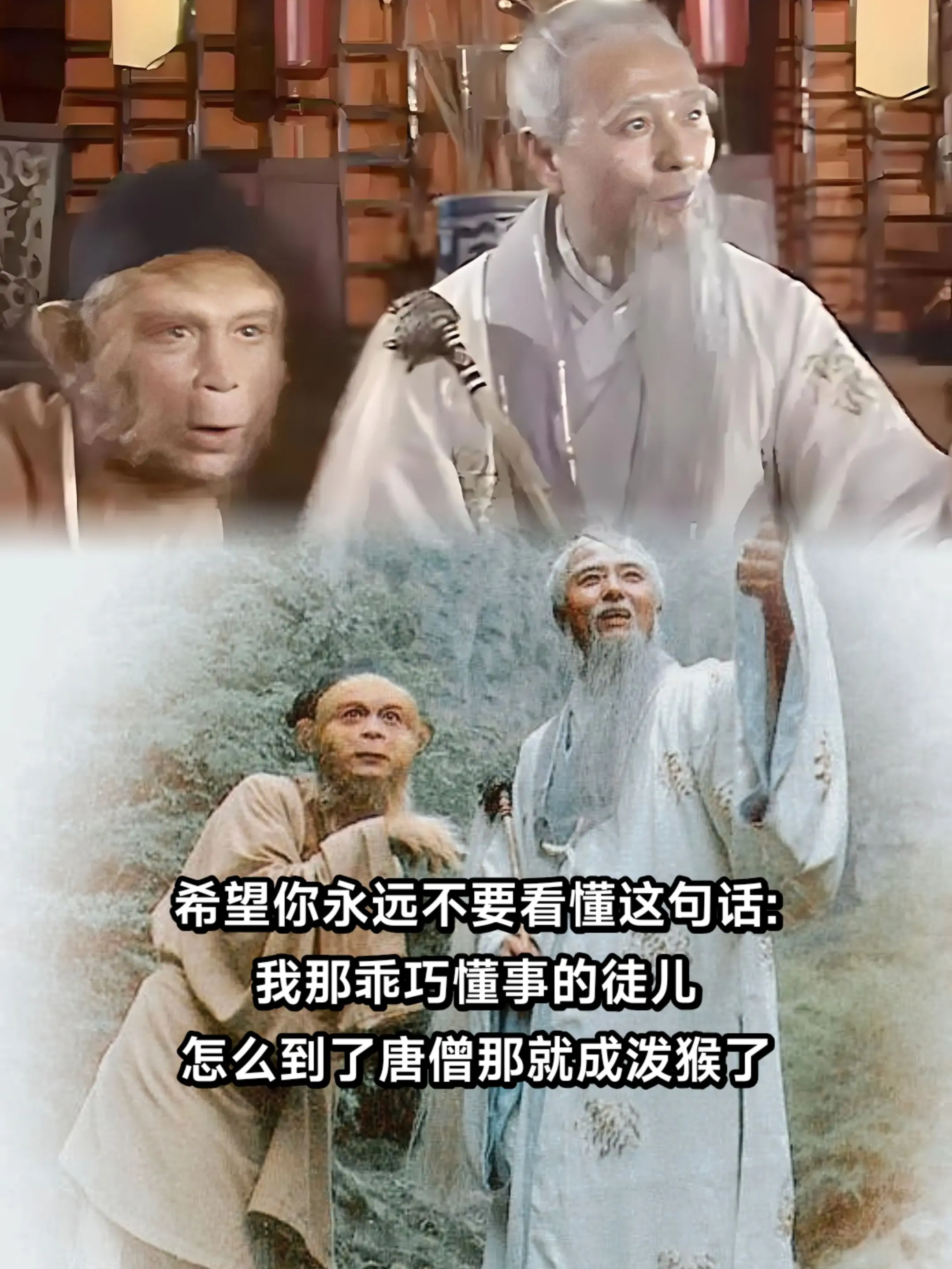菩提老祖:“我那活泼正直的徒儿，怎么到了你唐僧嘴里却成了泼猴”🟰 ...