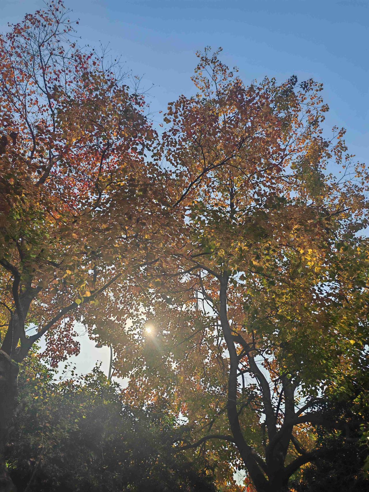 我的今日状态：😁轻松愉快
我这里的天气：☀️晴天