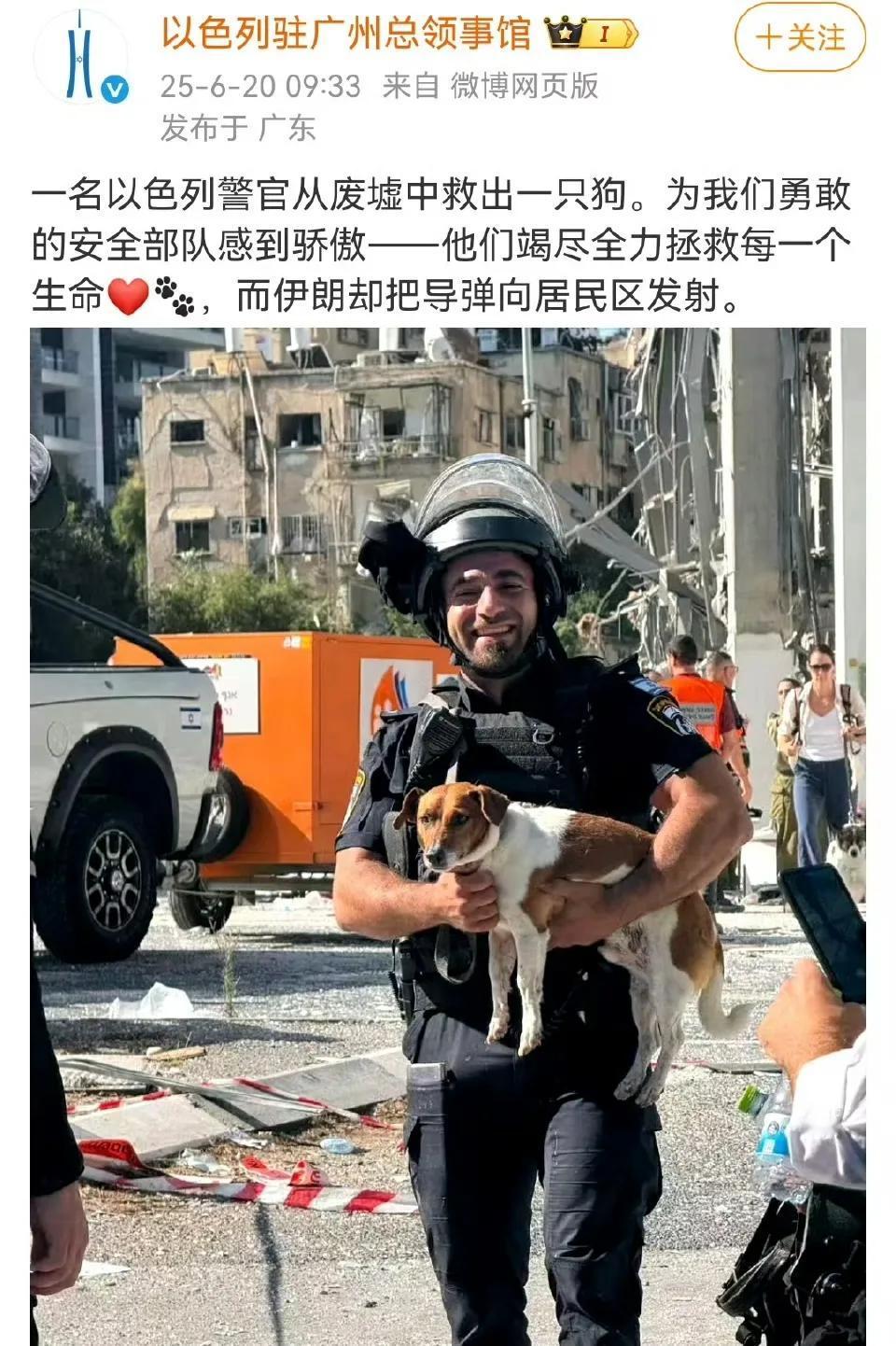 以色列警官又救出了一条狗。
以色列驻广州总领事馆发布了这一特大喜讯，并对以色列警