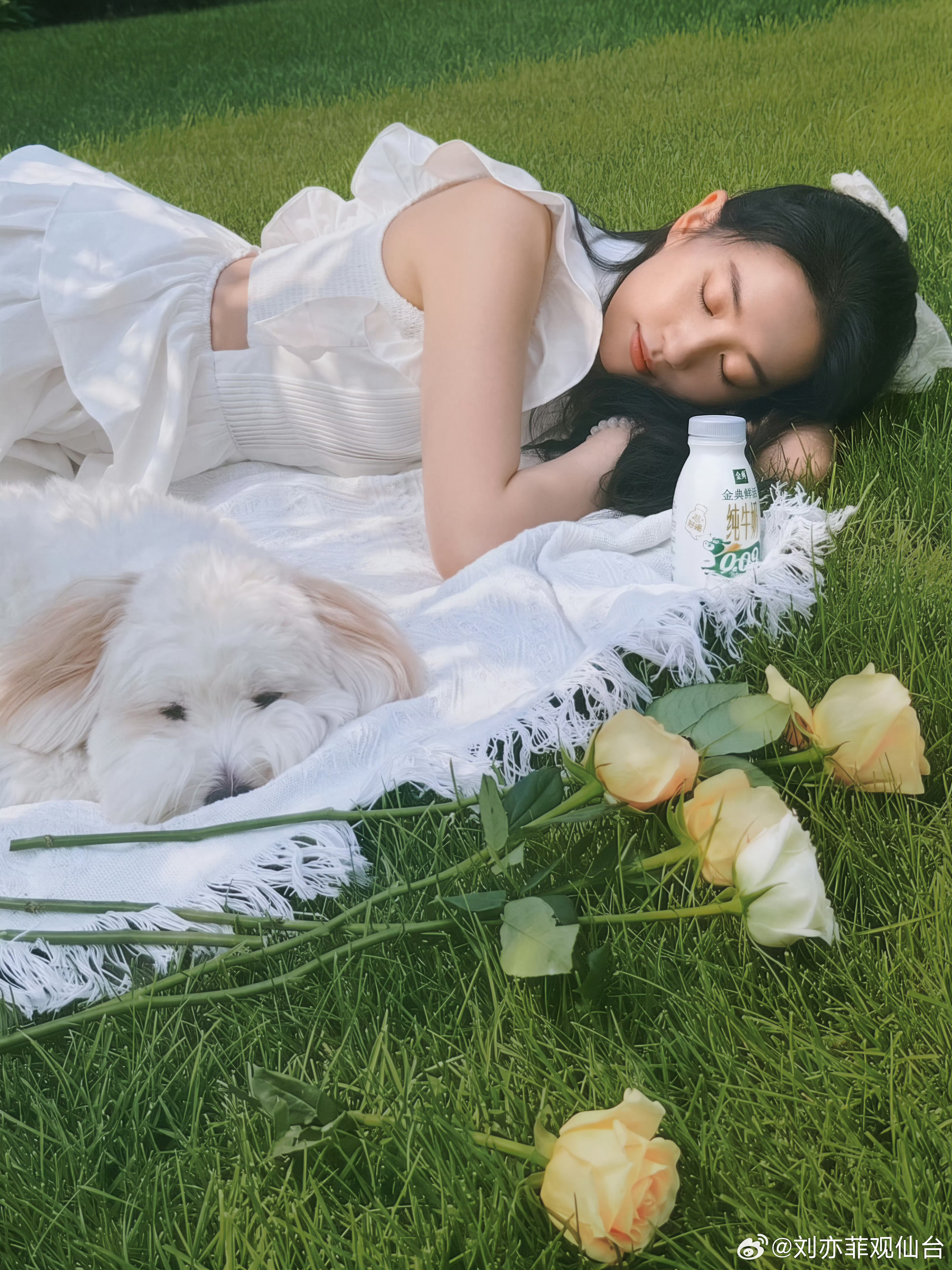 【刘亦菲刘亦菲带哈哈晒太阳】和好朋友晒太阳～🐶🐶🐶