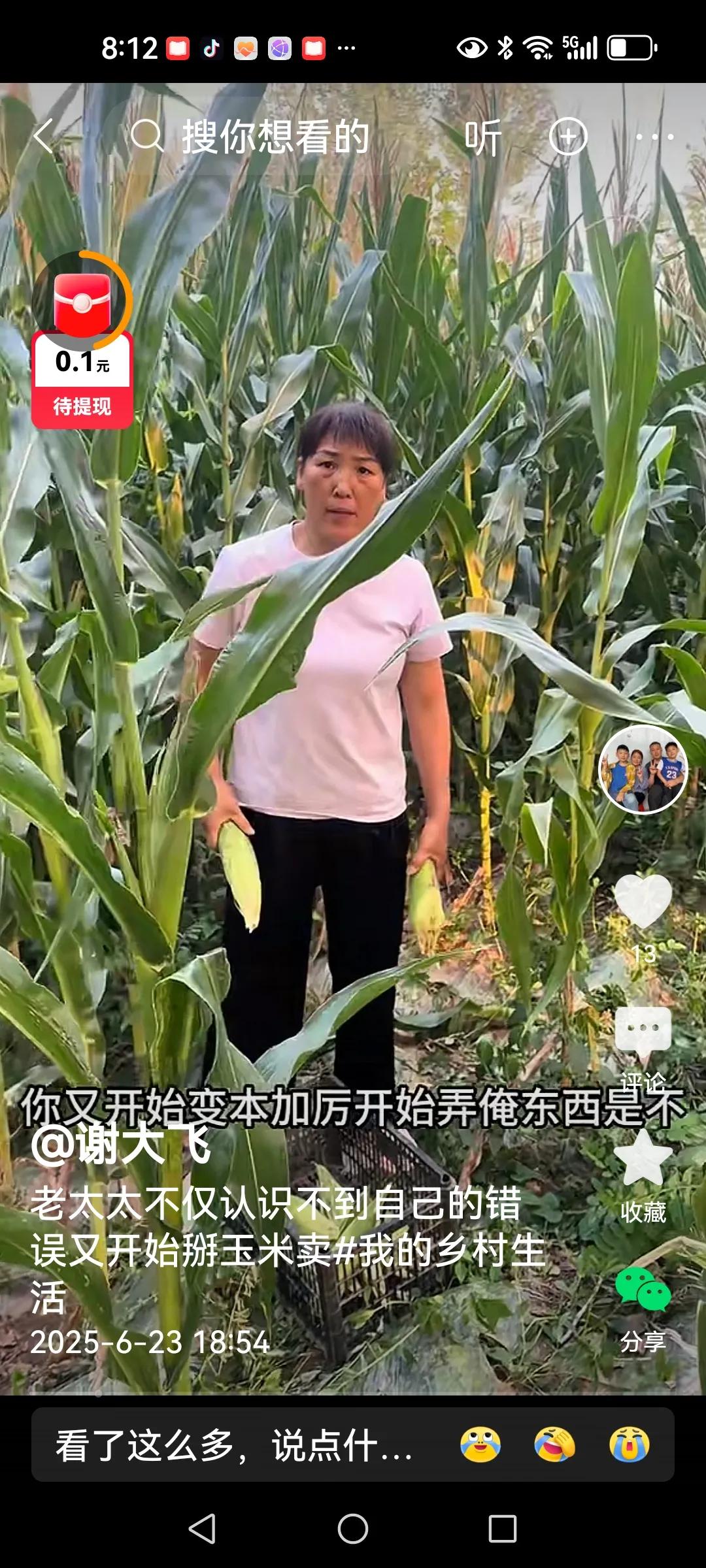 高锐婆婆又要捉妖
高锐婆婆恶习不改，又看上了儿子大飞即将丰收的玉米，这不，平时不