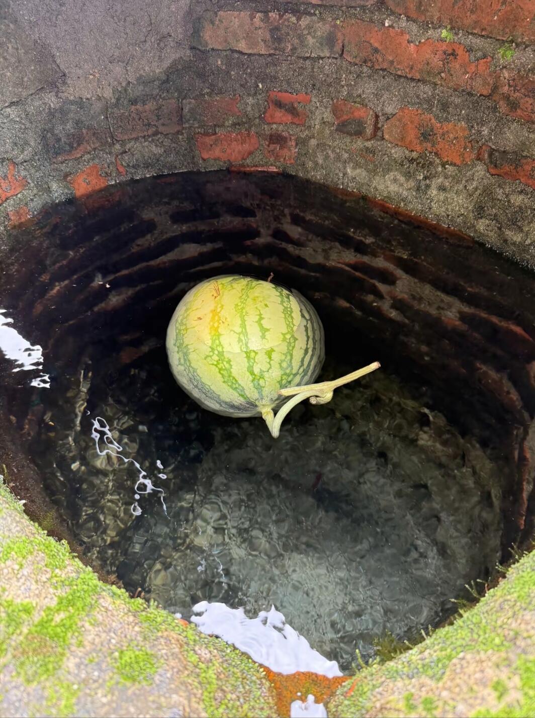 老井泡西瓜，属于儿时的夏日浪漫。那股透心的凉，再也找不回当年的味道。 