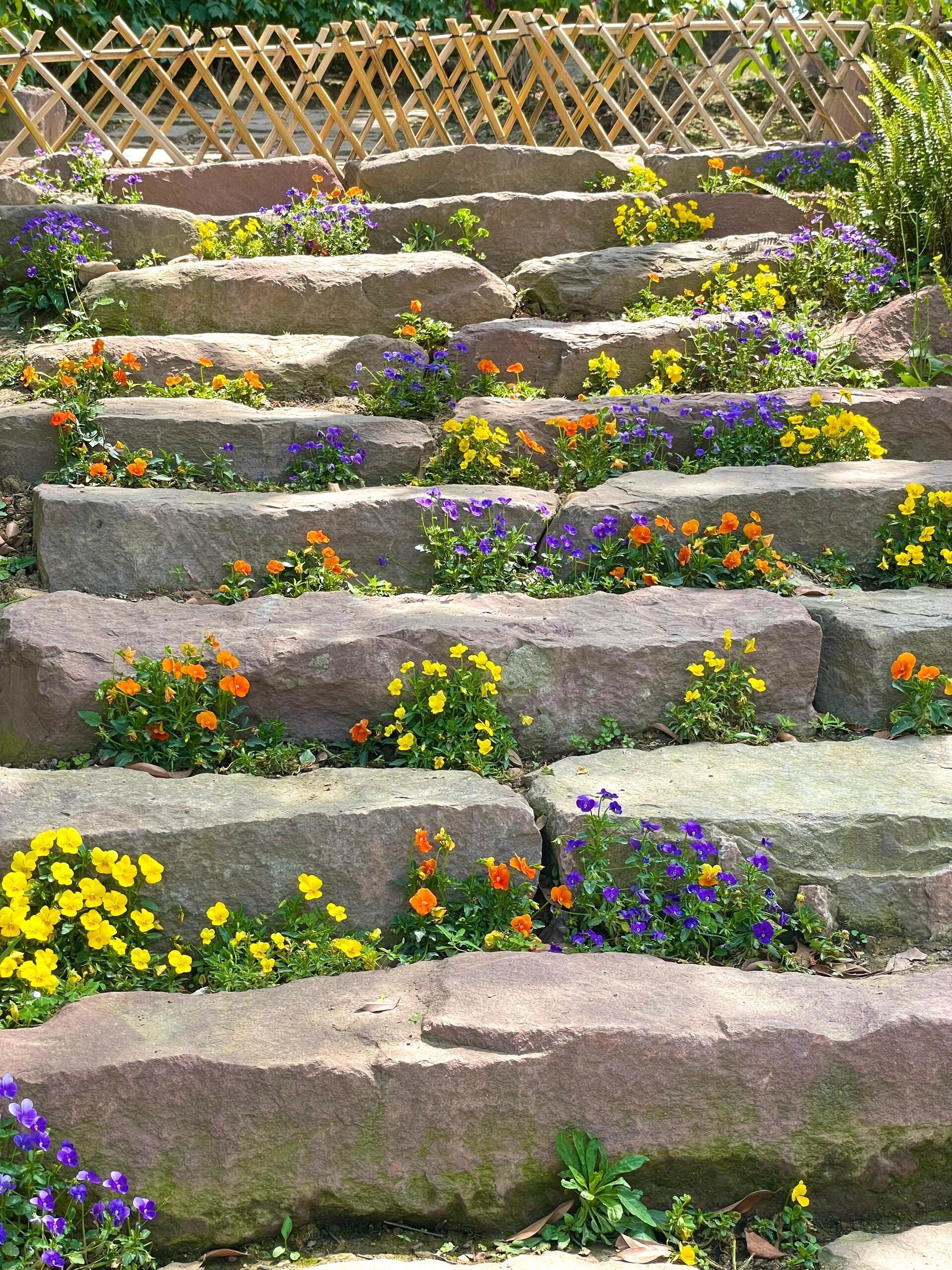 春天了 你该走花路啦💐 