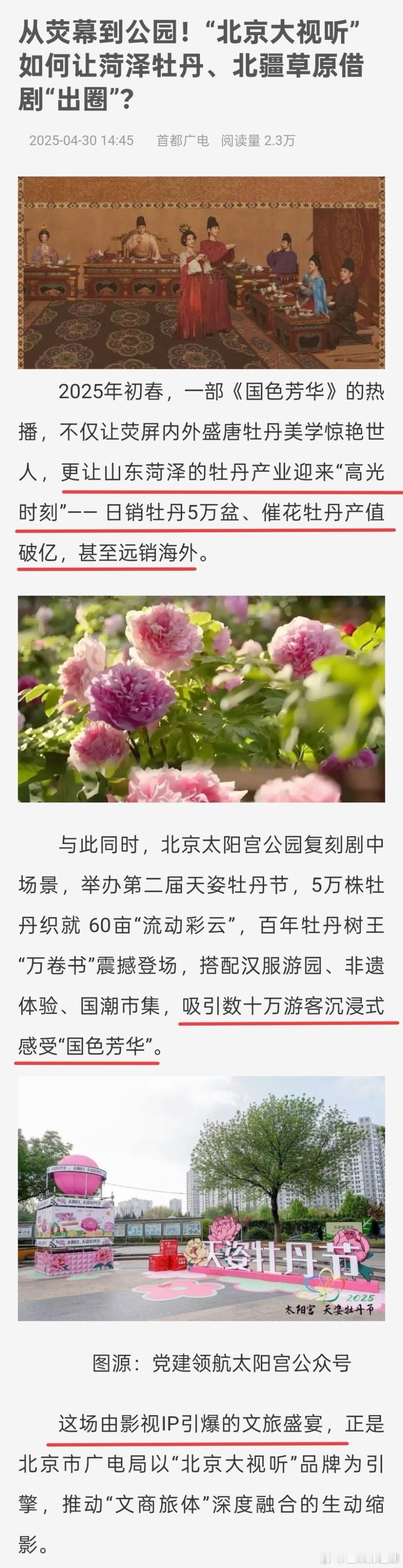 杨紫国色芳华的破圈效应还在持续，首都广电发文：菏泽牡丹日销5万盆，催花牡丹产值破