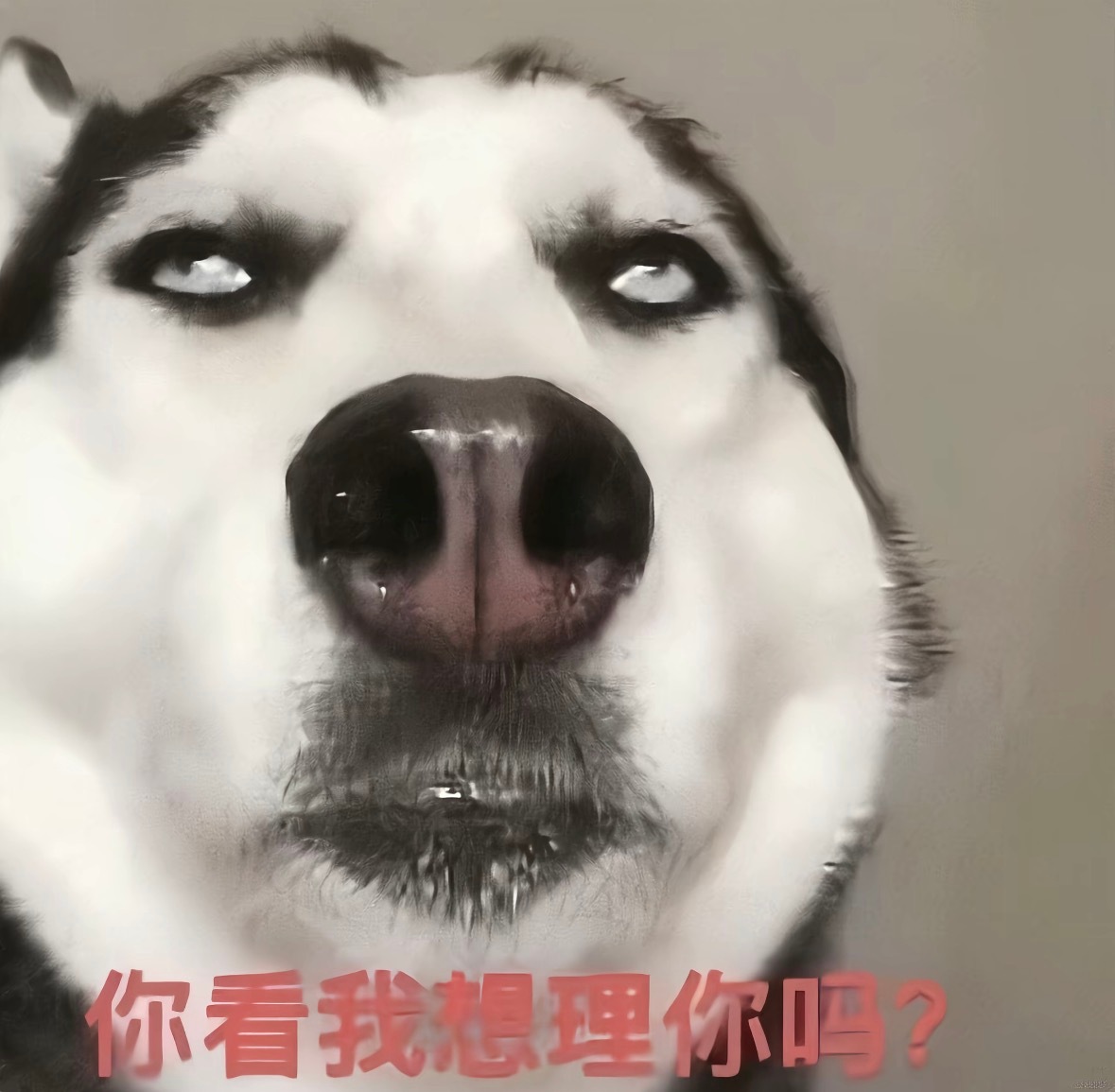 想买15只香骨鸡 但是上次吃几个就饱了… ​​​