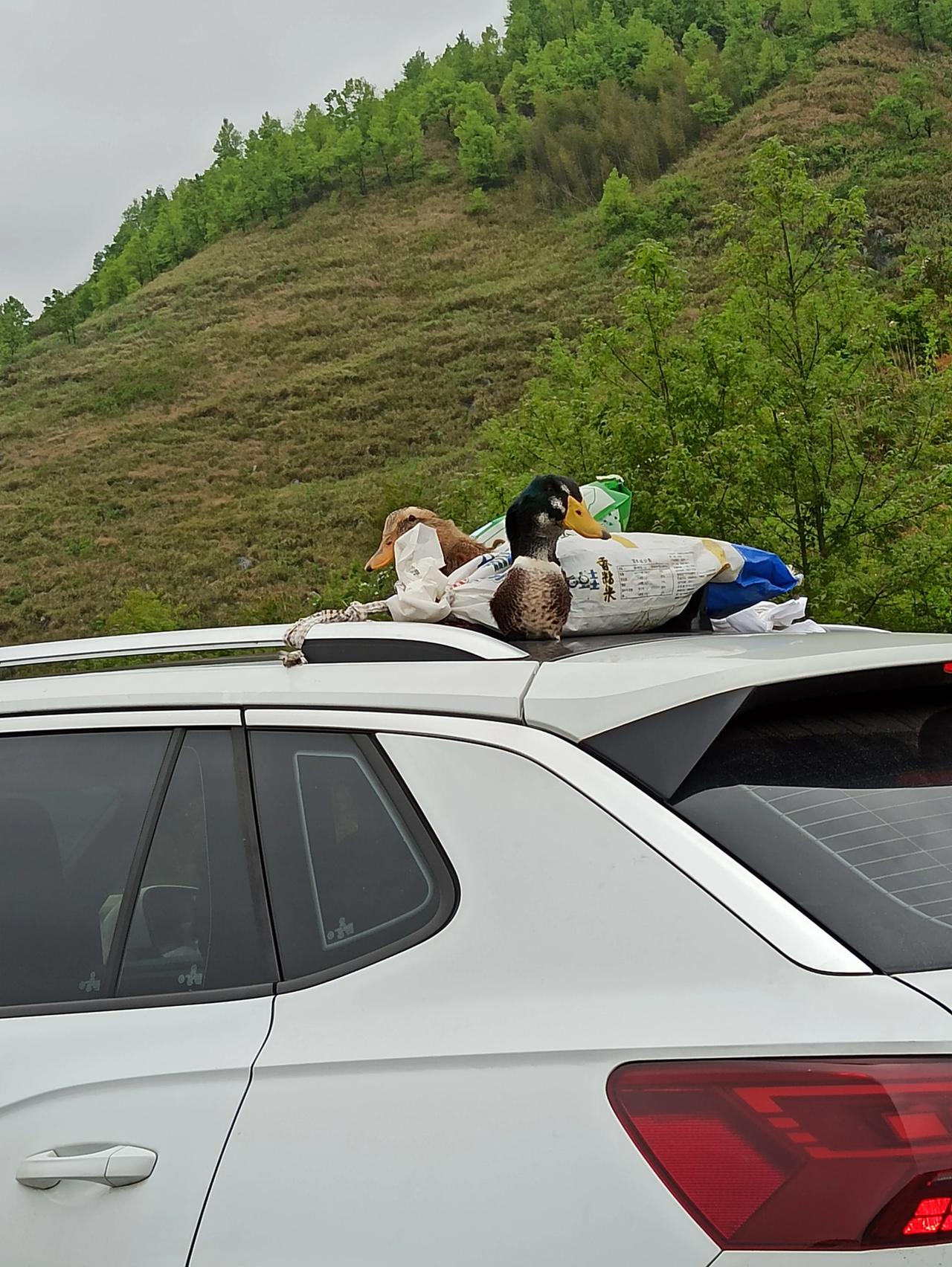 我家在许广高速路湖南段，某收费站路口有块地，想自己安装充电桩给人用可以吗？

附