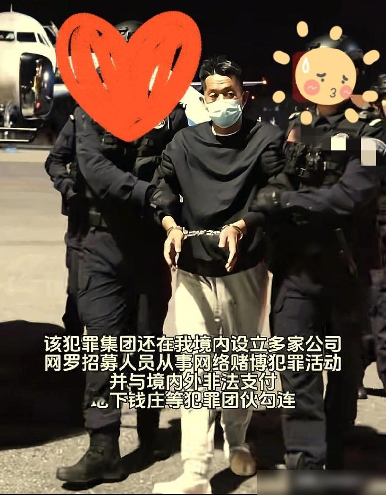 这波真的太解气了！干了十几年赌诈的佘智江被引渡回国，穿得挺时尚还装淡定，结果下飞