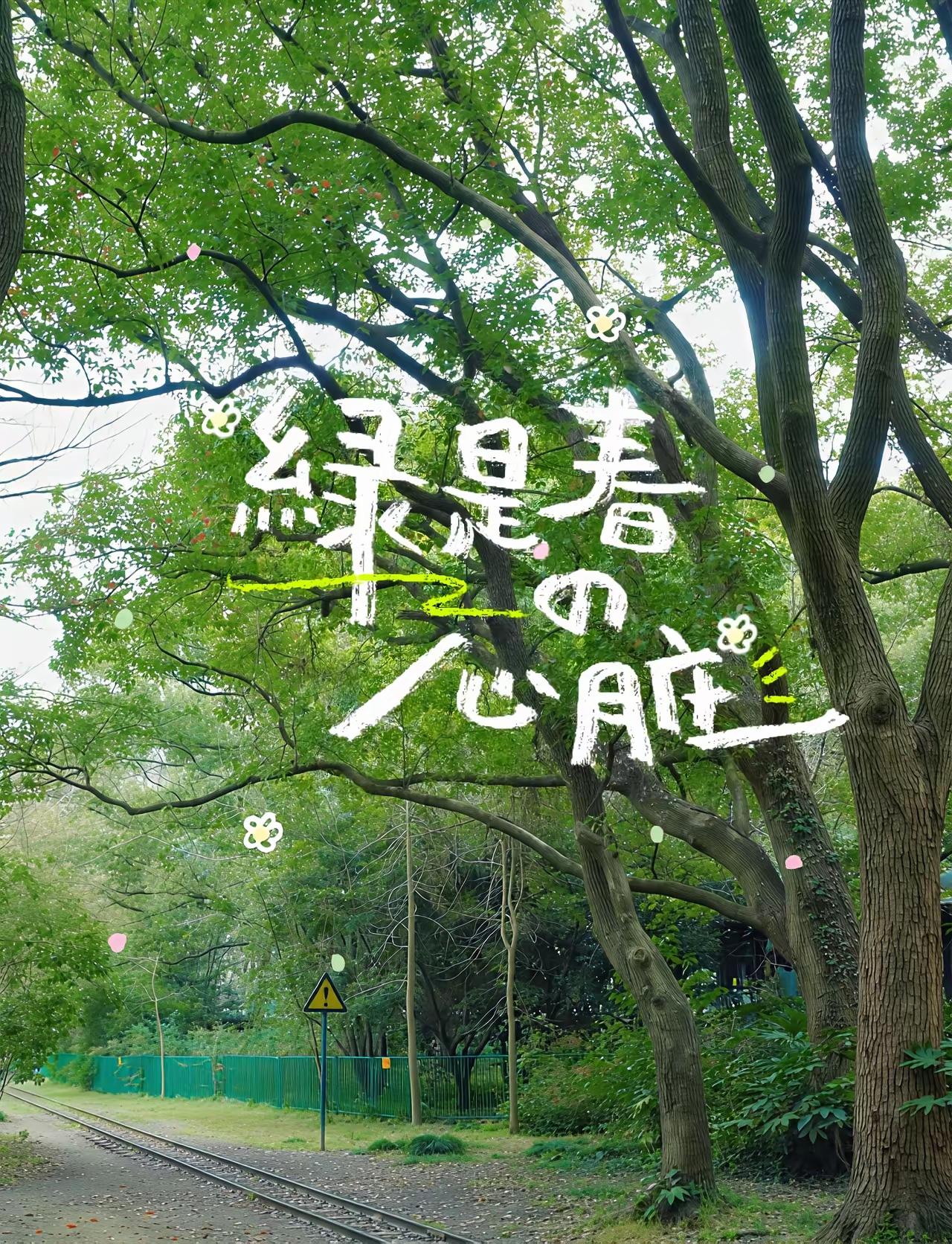 🌸你刚好盛开
我刚好路过
最美还得是春天…[微风]