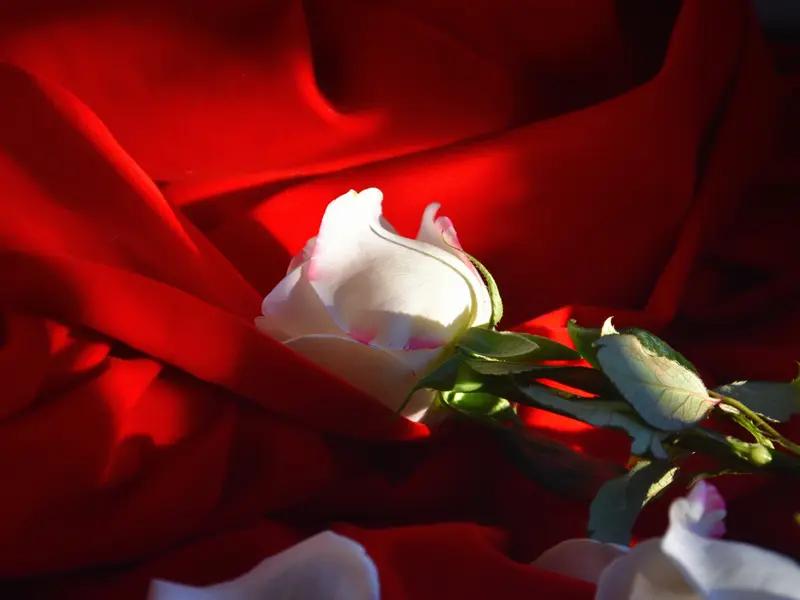 都说“防火防盗防闺蜜”，四川的戚女士算是深刻体会到了。2022年，她帮醉酒丈夫杜