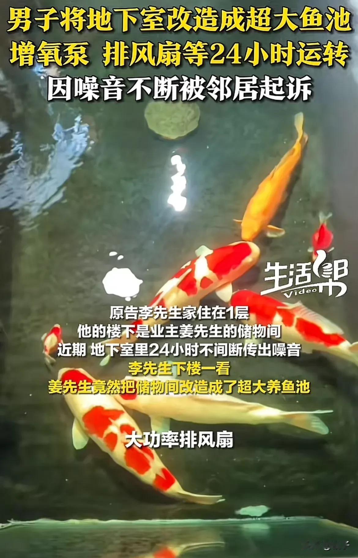 北京，一名男子改造地下室，打造成养鱼池，安装排风扇、增氧泵等设备。设备持续运行产