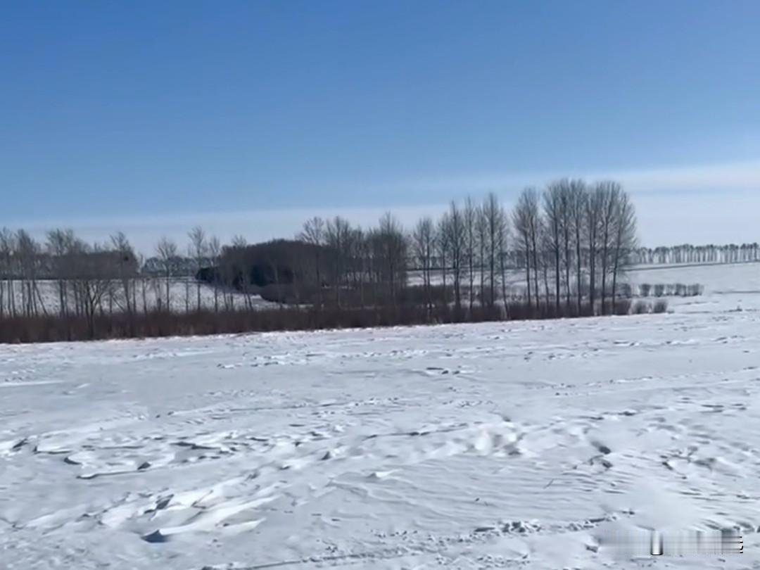 以前春节，小年刚过，就火急火燎请假、订票、买礼物，一路舟车劳顿，终是异乡人。
在