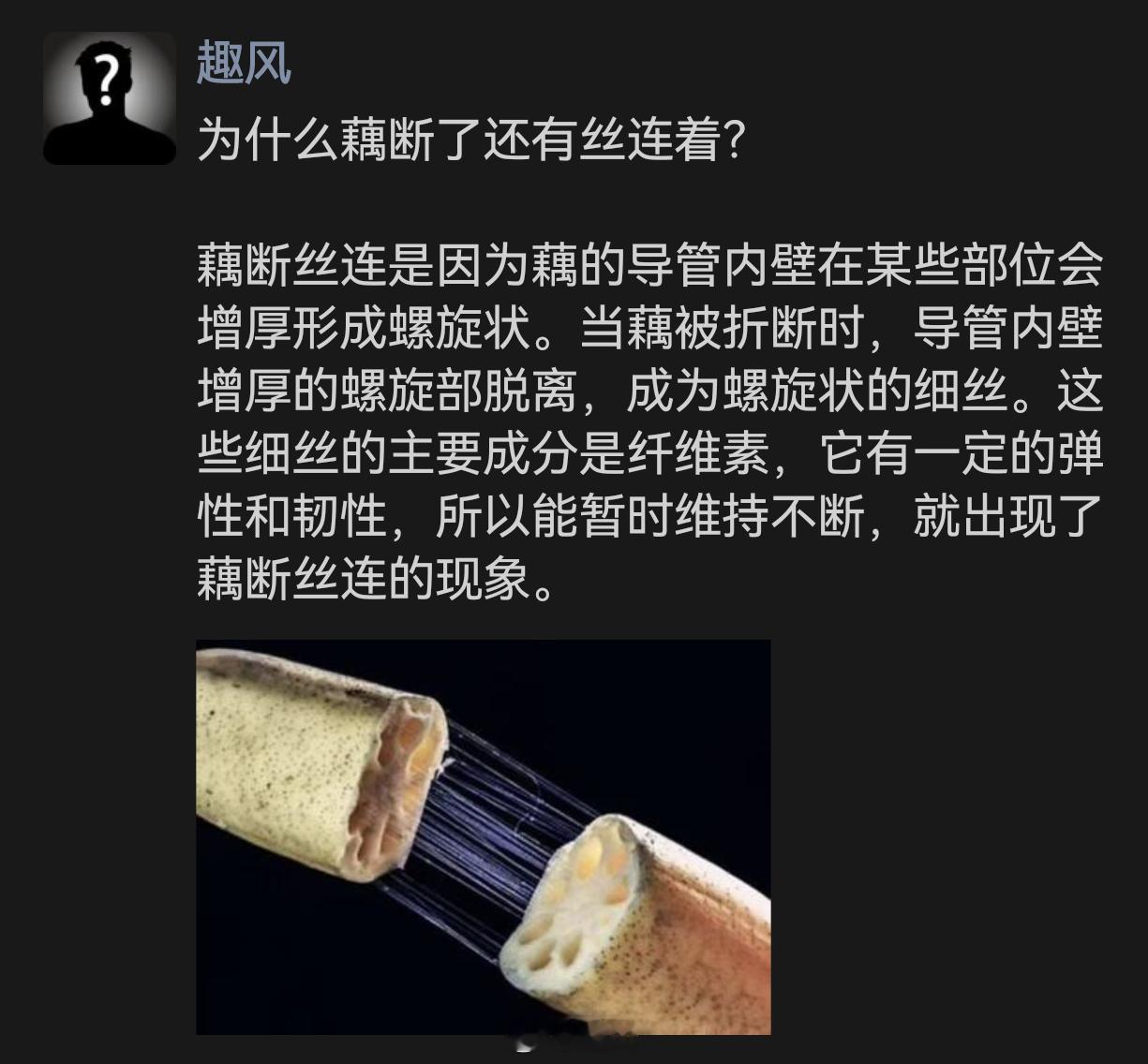 为什么藕断了还有丝连着？ 