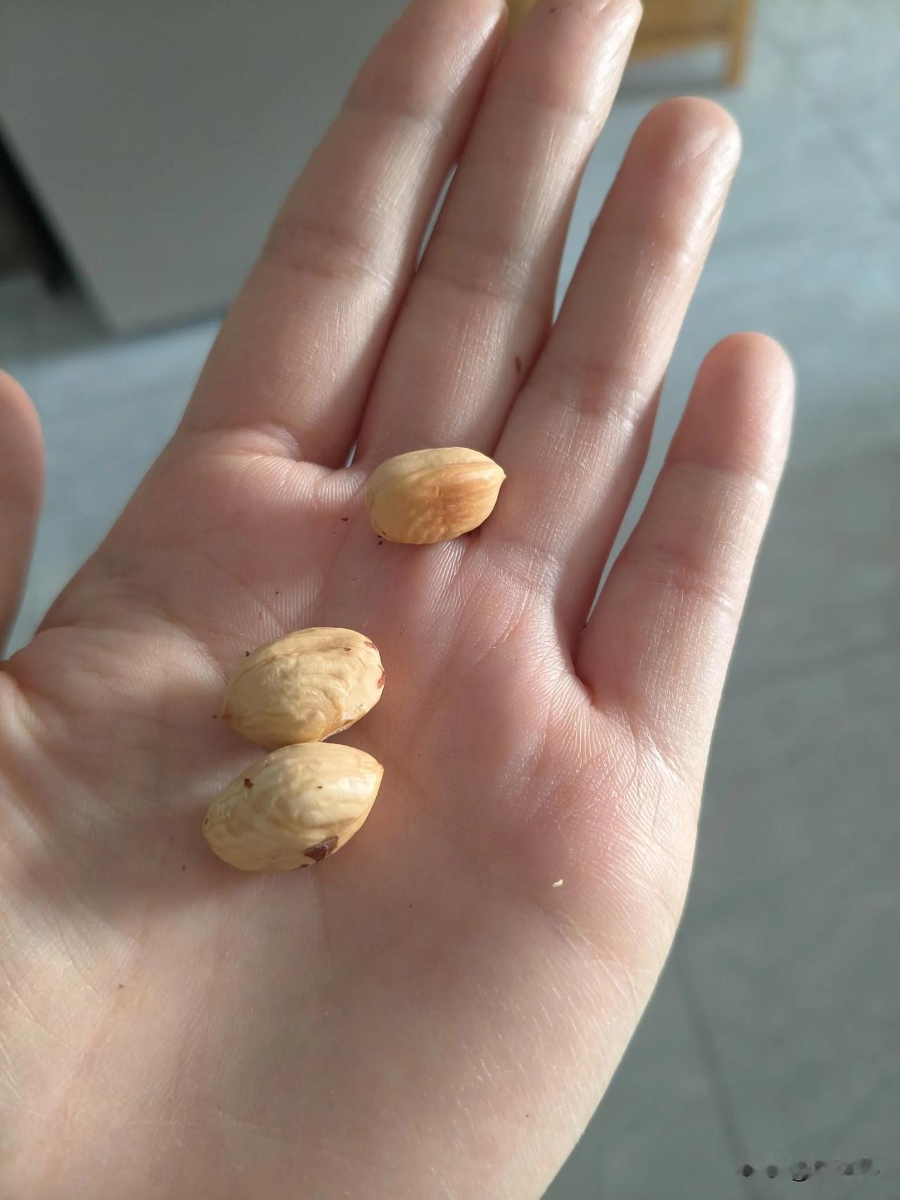 这是什么美食？

有人说是花生🥜，有人说不知道🤷🏻‍♀️，我只想说，酥酥脆