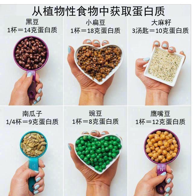 减脂期间，怎样实现健康饮食？看了这些图你就明白了