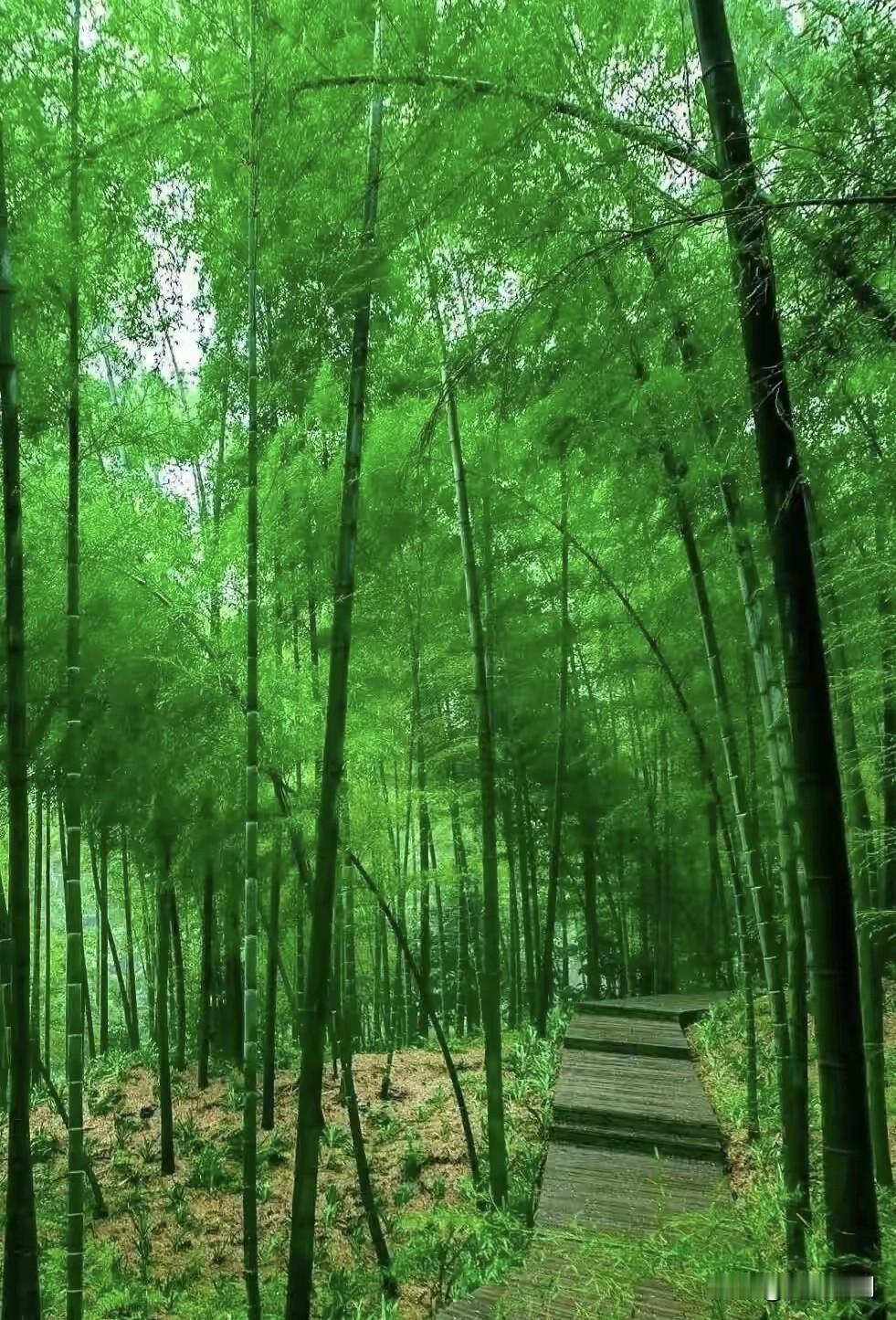 《七律·夏夜②》
作者：转转看到


草木葱茏蔓无边，
山青水秀景宜然。
满天星