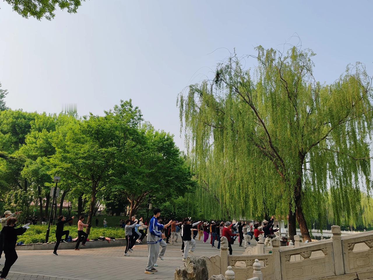 晒晒我的摄影作品晨练。