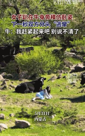 “双方都很害怕！”据媒体6月3日报道，内蒙古，辽阔壮美的草原上，一位女子本想体验