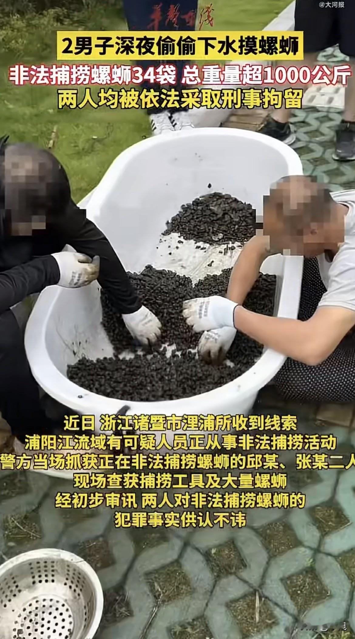 浙江那两个捞螺蛳的，一晚上搞了34袋，过秤一称，超过1000公斤。一吨。

两个