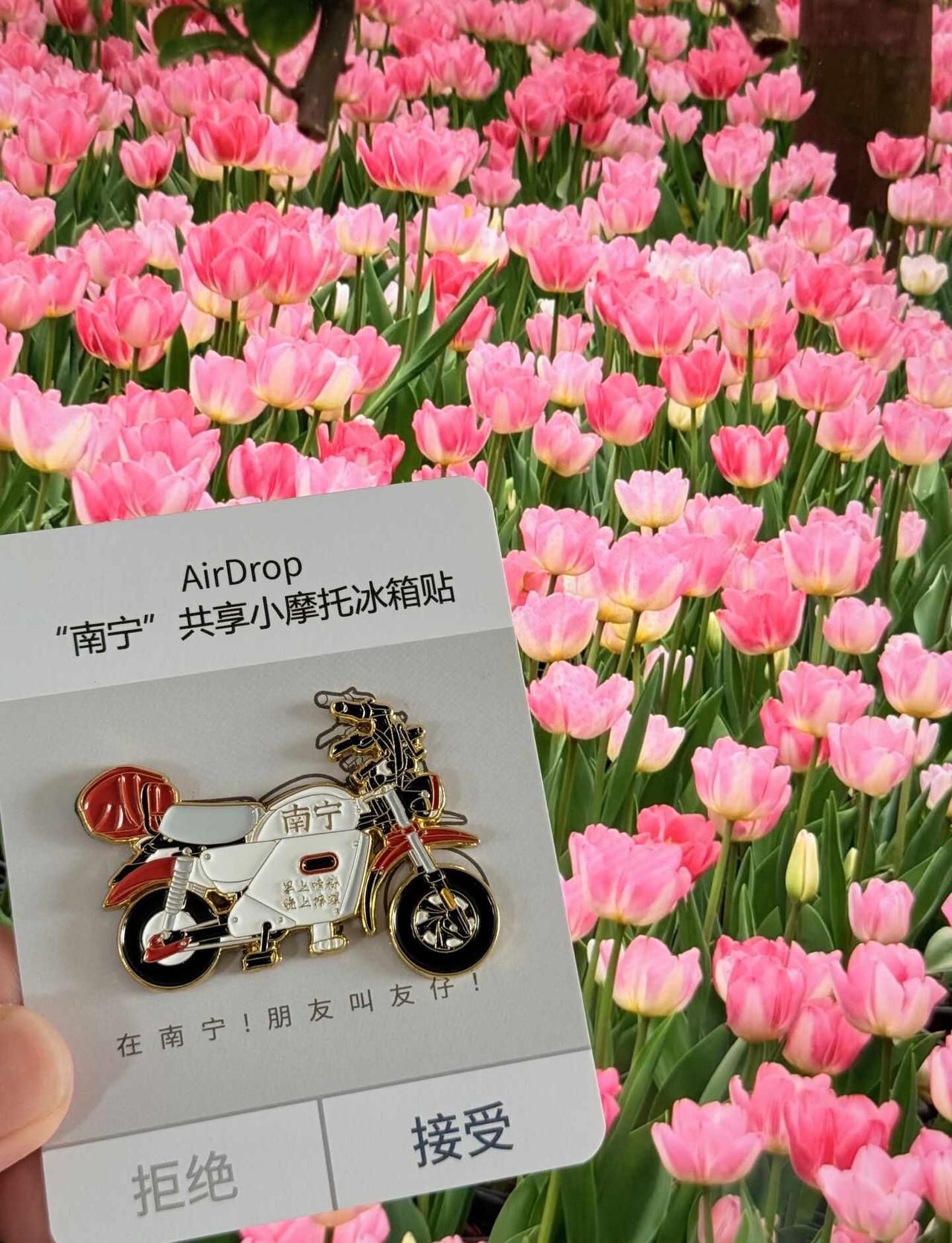 带一辆“电驴”离开南宁，是对这座城市的尊重
我爱冰箱贴 冰箱贴  万物皆可冰箱贴