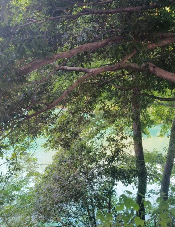 讳疾忌医10年，13斤巨瘤险丧命
亲爱的朋友们大家好，我是海林小百科，今天我们来