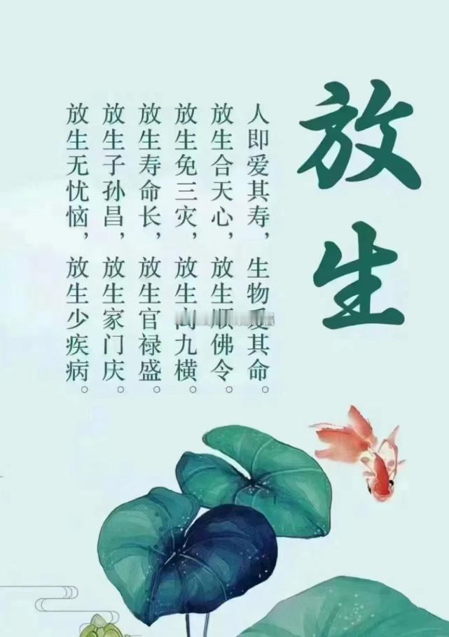 积善之家必有余庆，常行放生善举是为自身积攒福报，是让人生之路越走越顺的善因，一福