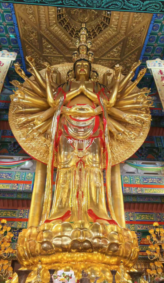 踢走霉运，踢走病魔，踢走一切不顺，家人平安、健康、顺利、吉祥，越来越好，越来越顺