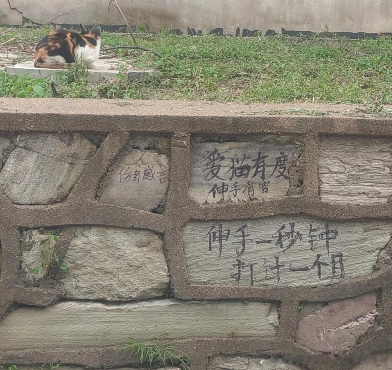 50543【心灵丑】全系列 