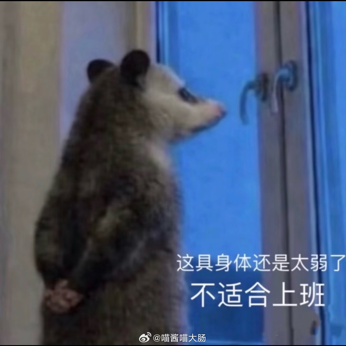 还有一天班… 