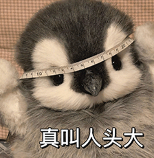 每次看到工资明细的时候，尤其是养老保险的金额，我就很心痛。自己交好多钱，公司也交