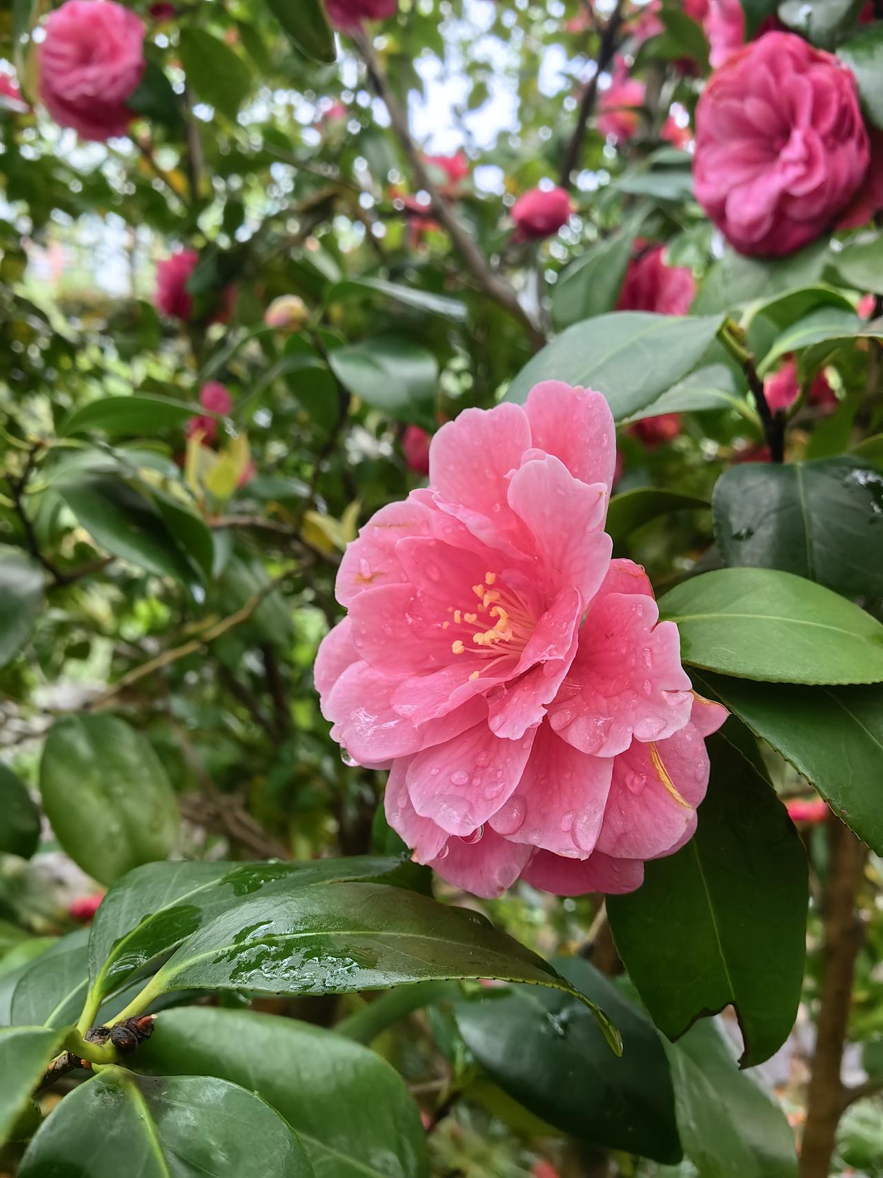 上午沪深京三市涨跌互现，单边上扬结束，分化走势开启。上证指数涨14.82点，深证