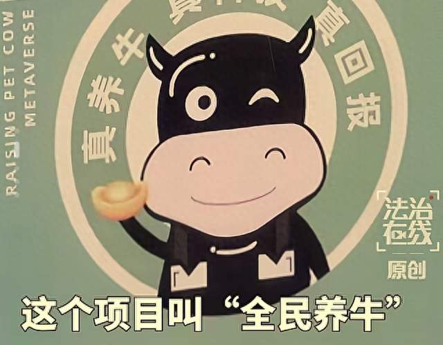 12万人被骗5.6亿！300万认养600头牛，一头真的都没有！