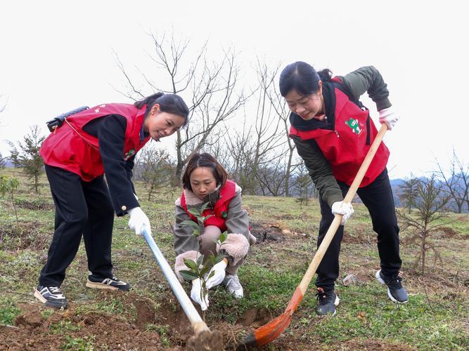 上联：只一次心动，换来半生牵挂
下联：仅半天力耕，播下百年希望