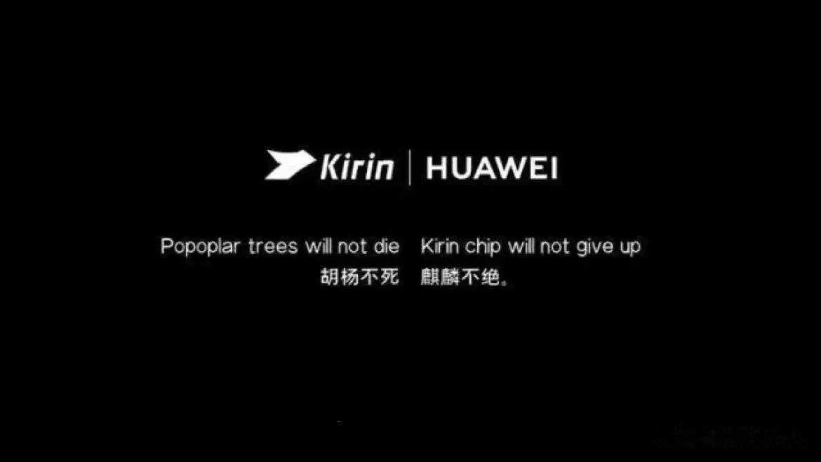 中芯国际N+1制造工艺，可以做到等效对岸台积电7nm，封顶可以做到高通870水平