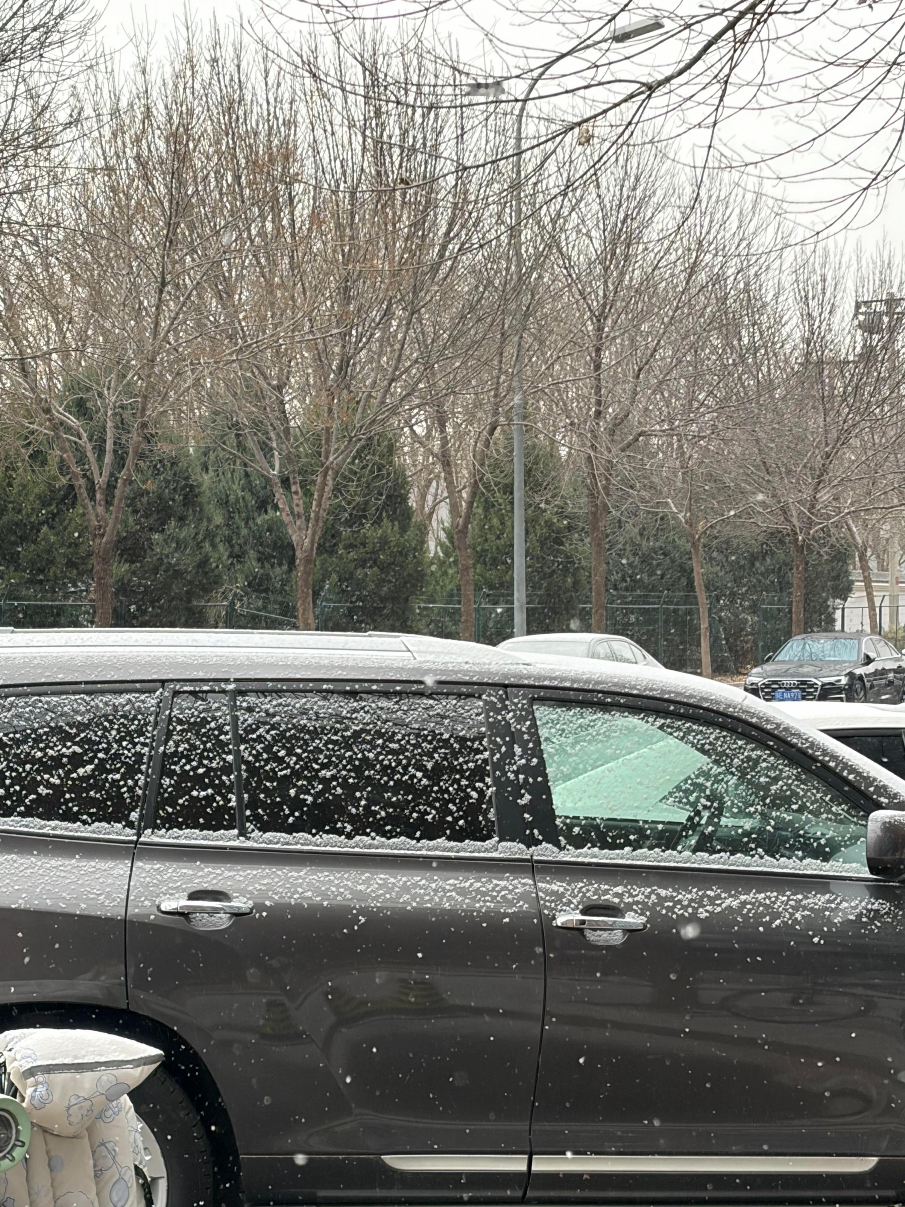北京大兴今年第一场雪来了，我们有个南方的同事活了二十几年，人生第一次见到雪，给他