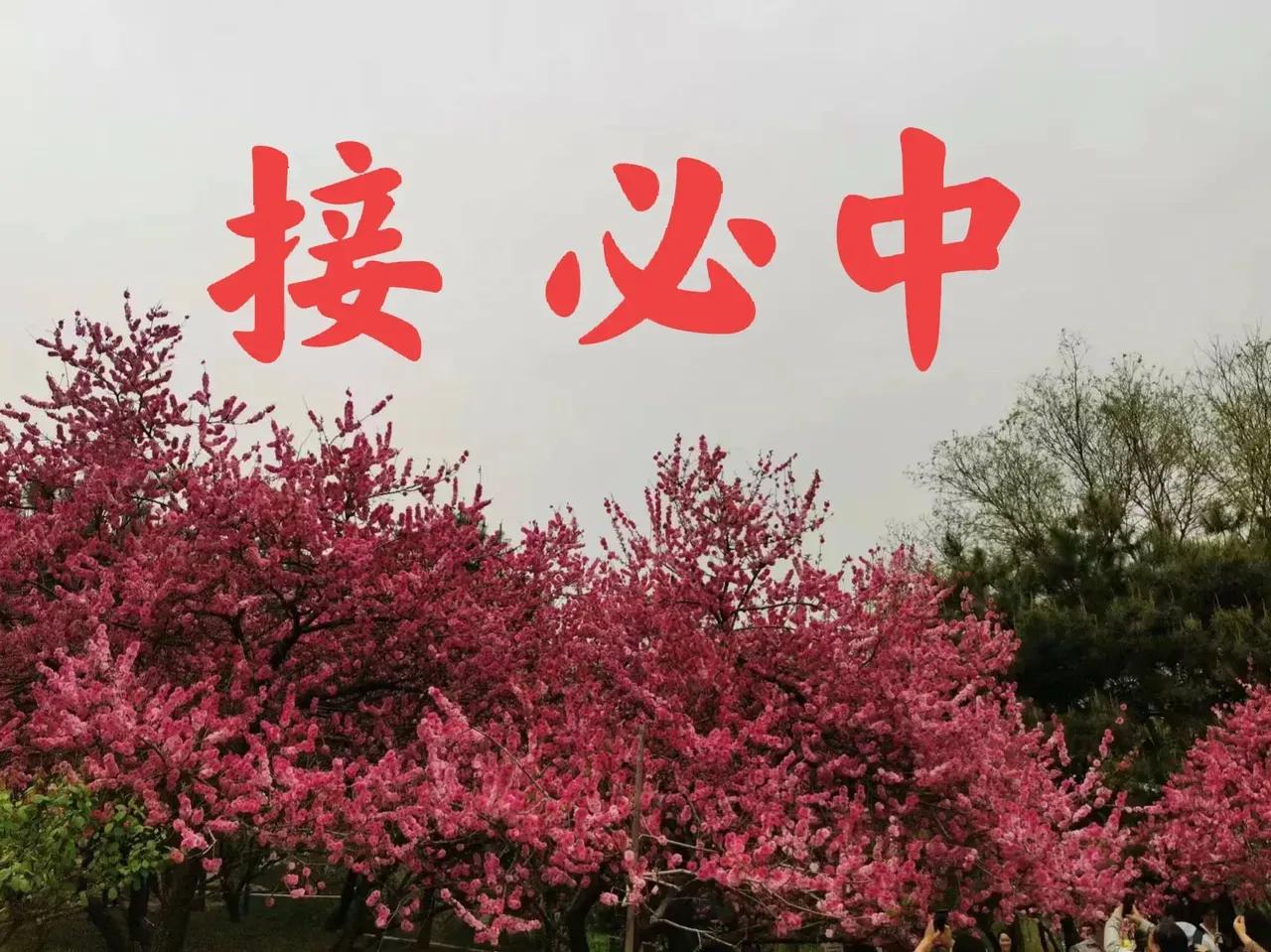 在金秋十月的序章里，若您有幸于一号前邂逅彩票的奇迹，揽获3.65亿巨奖，请轻启朱