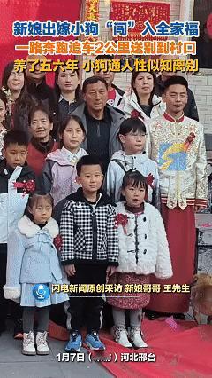 万物皆有灵！近日河北邢台，新娘出嫁前全家人一起拍全家福，这时新娘养了五六年的狗狗