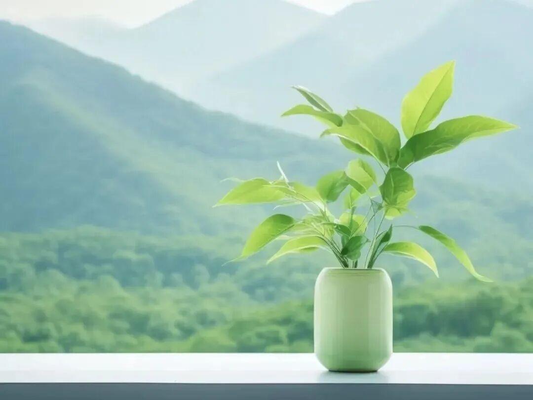 女儿打电话说今年不回家过年了，可是女婿的安排却让我差点哭了。

张姐的女儿去年刚